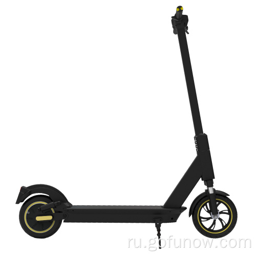 Гофуновы разделяют электрические скутеры для аренды бизнеса